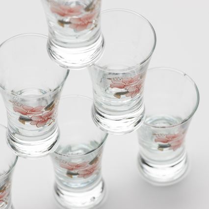 Setti 6x liköörilasi kukka-aihe nro. 2