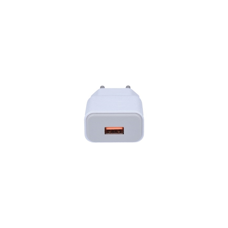 USB Latausadapteri 1xUSB/230V