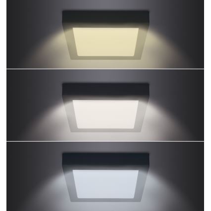 LED Kattovalo LED/12W/230V 3000/4000/6000K musta neliö