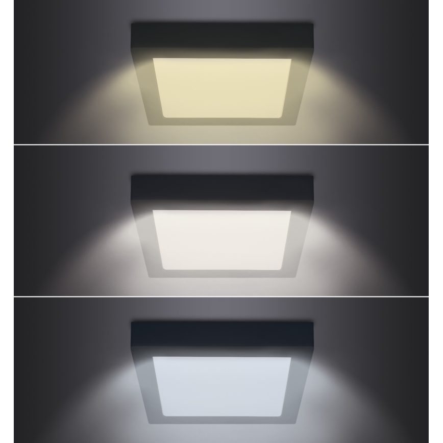 LED Kattovalo LED/12W/230V 3000/4000/6000K musta neliö