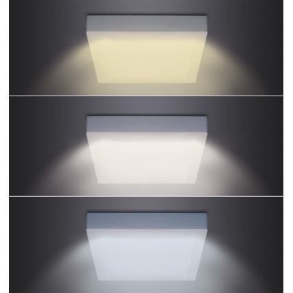 LED-kattovalaisin LED/12W/230V 3000/4000/6000K 17x17 cm valkoinen