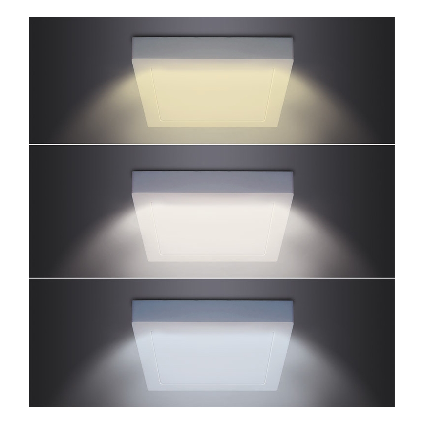 LED-kattovalaisin LED/12W/230V 3000/4000/6000K 17x17 cm valkoinen