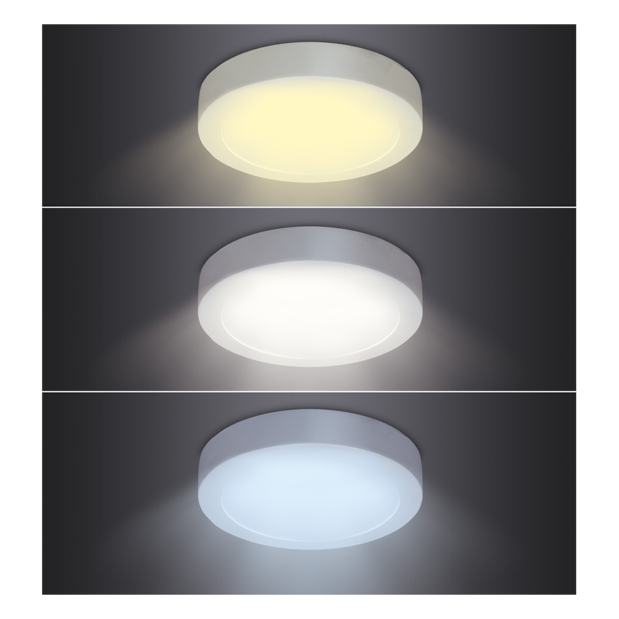 LED-kattovalaisin, 24W/230V, 3000/4000/6000 K, halkaisija 30 cm, valkoinen