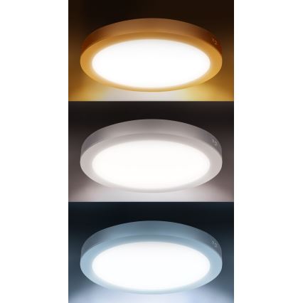 LED-paneeli, pinta- tai alaslaskettava 2-in-1 18W/230V 3000/4000/6000K Ø 22,5 cm IP54 hopea