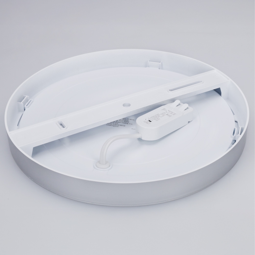 LED pinta- tai uppoasennettava paneeli 2-in-1 24W/230V 3000/4000/6000K Ø 30 cm IP54 hopea