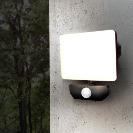 LED-ulkovalonheitin anturilla LED/10W/230V 4000K IP44