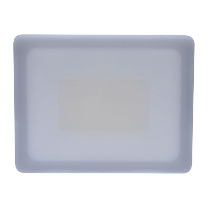 LED-ulkovalonheitin LED/30W/230V 4000K IP65
