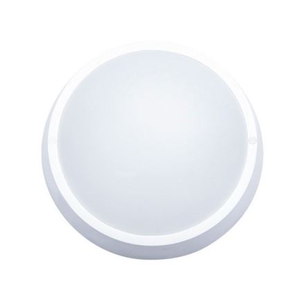 LED-ulkokattovalaisin 1xLED/30W/230V  IP65