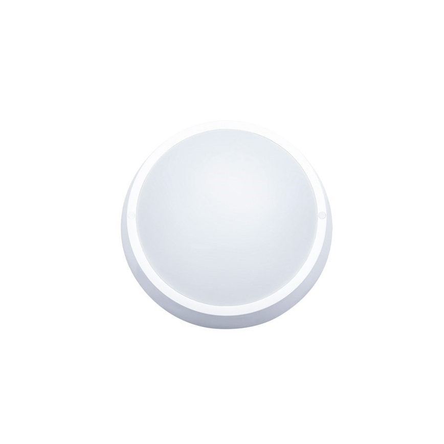 LED-ulkokattovalaisin 1xLED/30W/230V  IP65