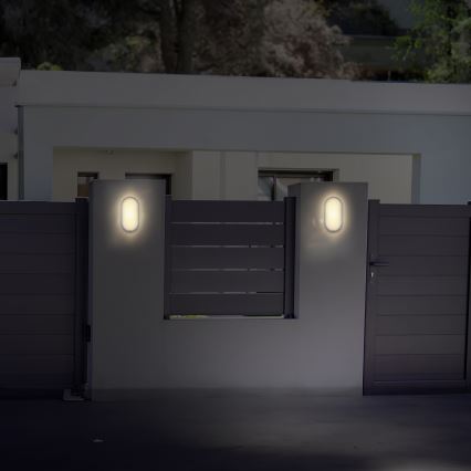 LED-ulkoseinävalaisin LED/20W/230V 4000K IP54 harmaa soikea