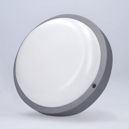 LED-ulkoseinävalaisin LED/20W/230V 4000K IP54 harmaa pyöreä