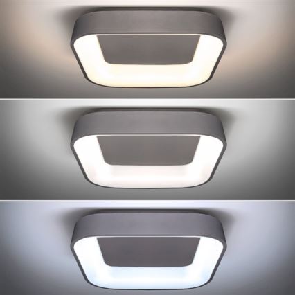 Himmennettävä LED-kattovalaisin TREVISO LED/48W/230V + Kauko-ohjaus