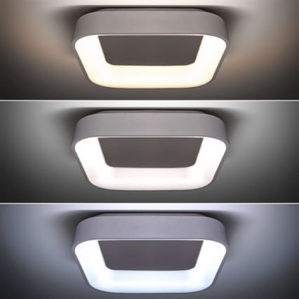 Himmennettävä LED-kattovalaisin LED/48W/230V + kauko-ohjaus