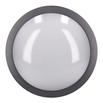 LED-ulkokattovalaisin SIENA LED/20W/230V IP54 halkaisija 23 cm antrasiitti