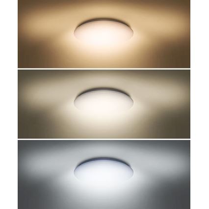 LED-kattovalo PLAIN LED/24W/230V 3000K/4000K/6000K pyöreä