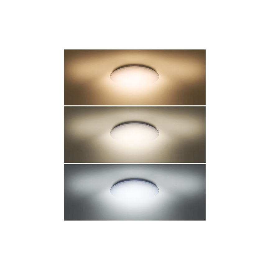 LED-kattovalo PLAIN LED/24W/230V 3000K/4000K/6000K pyöreä