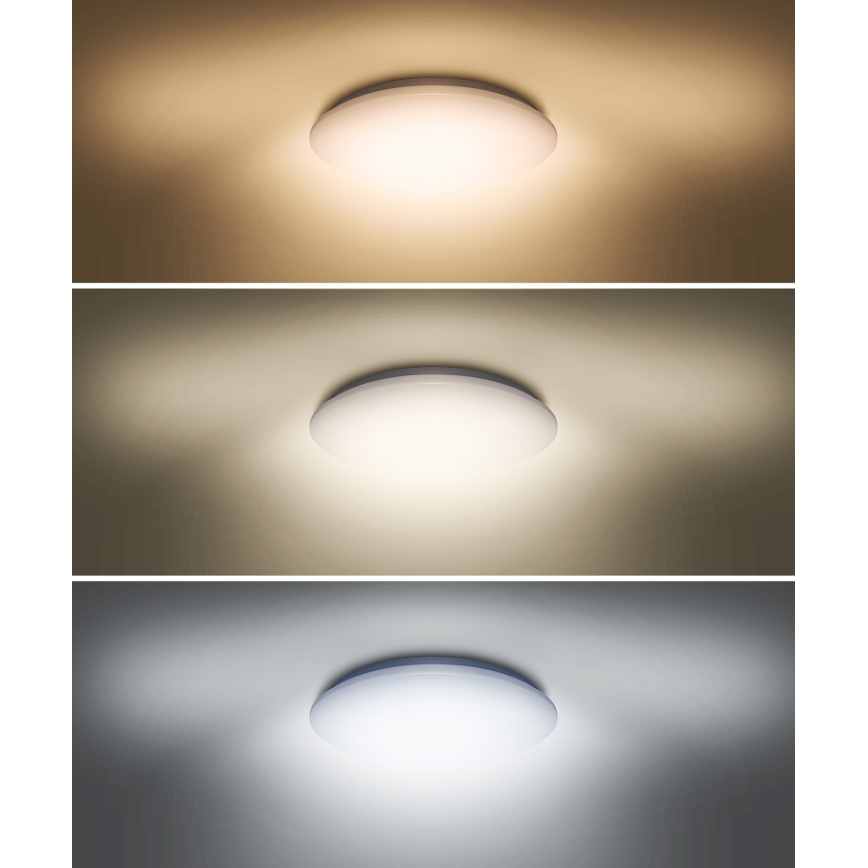 LED Kattovalo PLAIN LED/36W/230V 3000/4000/6000K pyöreä