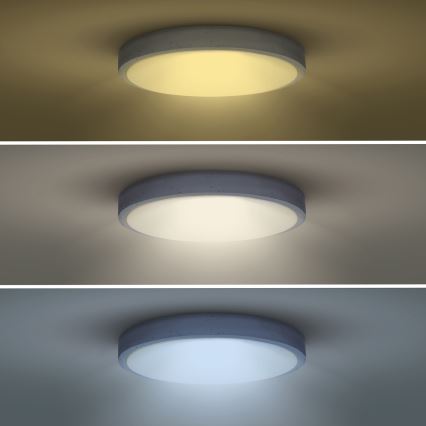 Himmennettävä LED-kattovalaisin GREY LED/60W/230V 3000-6500K harmaa halkaisija 49 cm + kauko-ohjaus