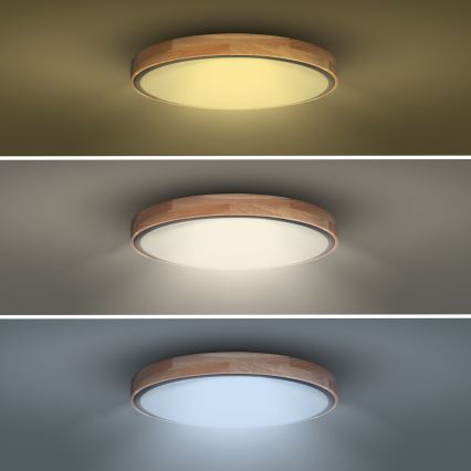 Himmennettävä LED-kattovalaisin IRON OAK LED/48W/230V 3000-6500K tammi halkaisija 40 cm + kauko-ohjaus
