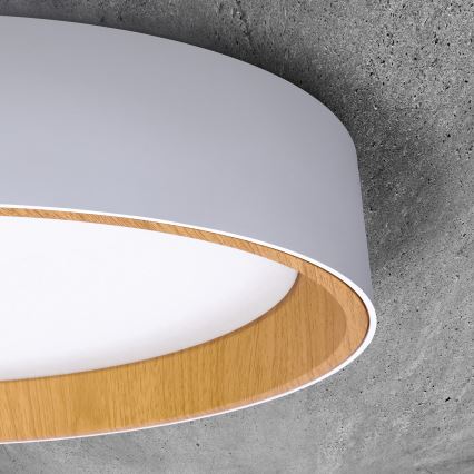 Himmennettävä LED-kattovalaisin LARIOS LED/48W/230V 3000-6500K halkaisija 39 cm valkoinen + kauko-ohjaus