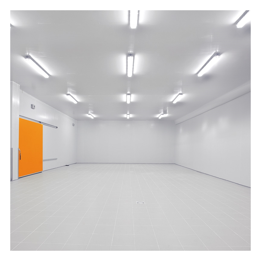 LED Kestävä valo LED/50W/230V 4000K IP65