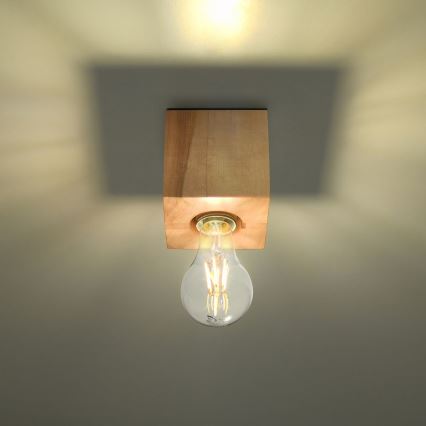 Kattovalo ABEL 1xE27/60W/230V pyökki