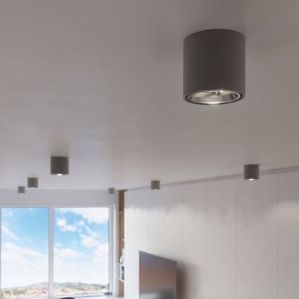 Kohdevalo TIUBE 1xGU10-AR111/10W/230V