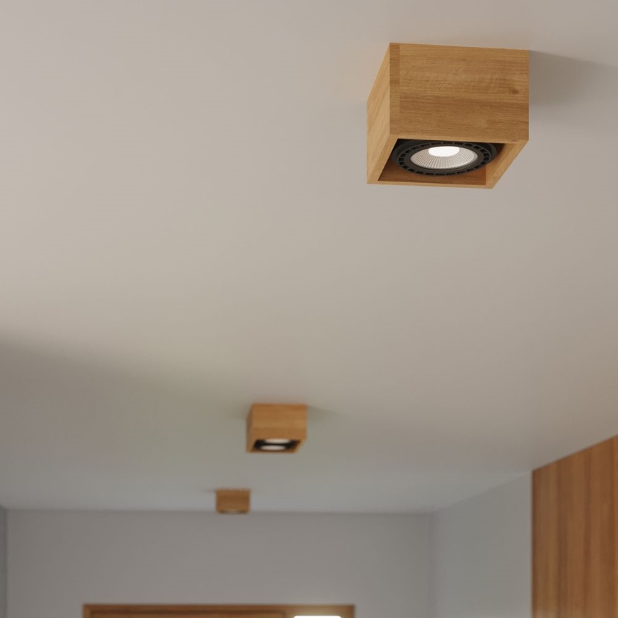 Kattovalo QUATRO AR111 1xGU10/40W/230V pyökki