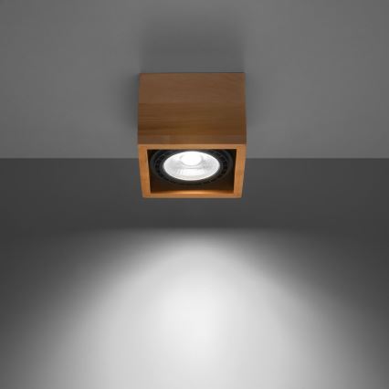 Kattovalo QUATRO AR111 1xGU10/40W/230V pyökki