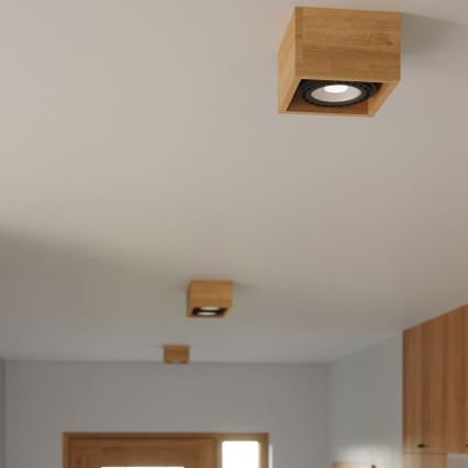 Kattovalo QUATRO AR111 2xGU10/40W/230V pyökki