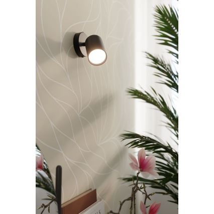 Sollux SL.1126 - Seinävalaisin LEMMI 1xGU10/40W/230V musta
