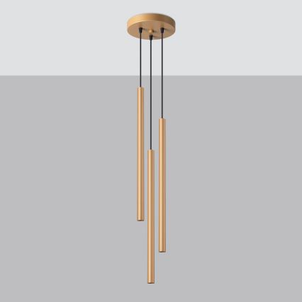 Kattokruunu johdossa PASTELO 3xG9/8W/230V kulta