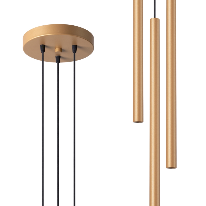 Kattokruunu johdossa PASTELO 3xG9/8W/230V kulta