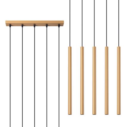 Kattokruunu johdossa PASTELO 5xG9/8W/230V kulta
