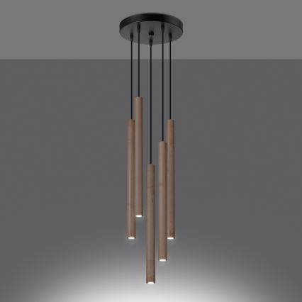 Kattokruunu johdossa PASTELO 5xG9/8W/230V pyökki