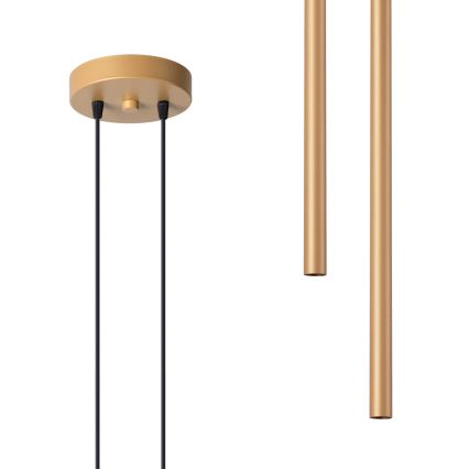 Kattokruunu johdossa PASTELO 2xG9/8W/230V kulta
