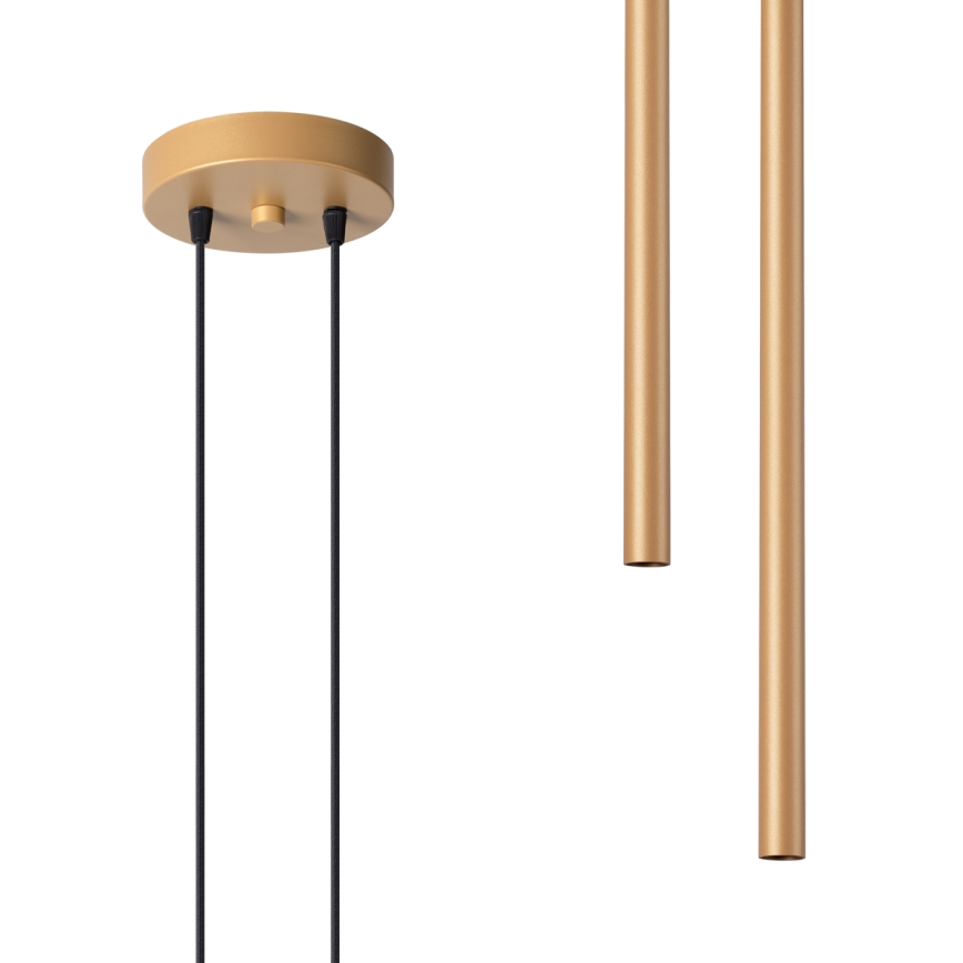 Kattokruunu johdossa PASTELO 2xG9/8W/230V kulta