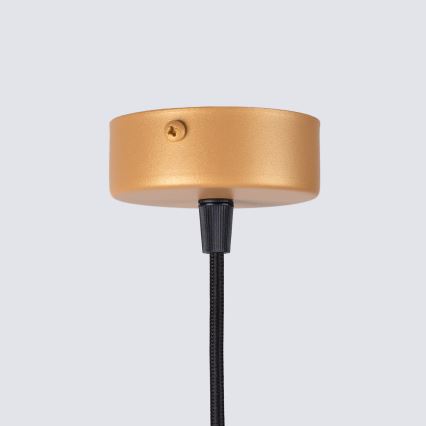 Kattokruunu johdossa ARCHE 1xG9/8W/230V kulta