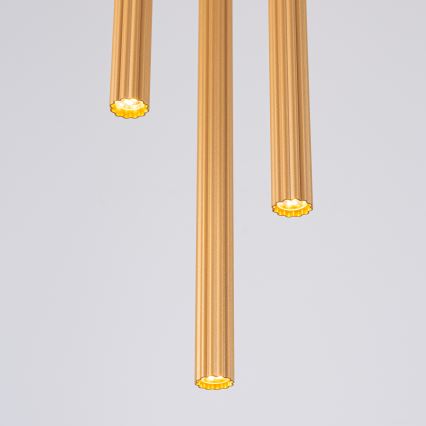 Kattokruunu johdossa ARCHE 3xG9/8W/230V kulta