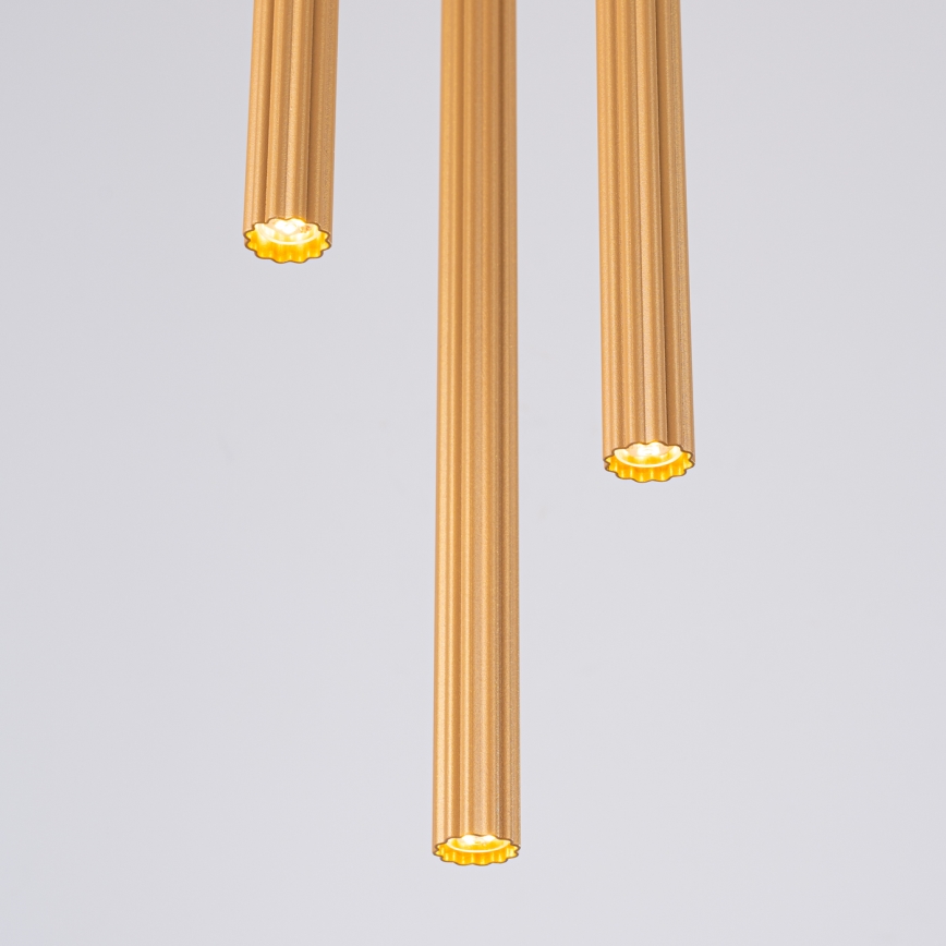 Kattokruunu johdossa ARCHE 3xG9/8W/230V kulta