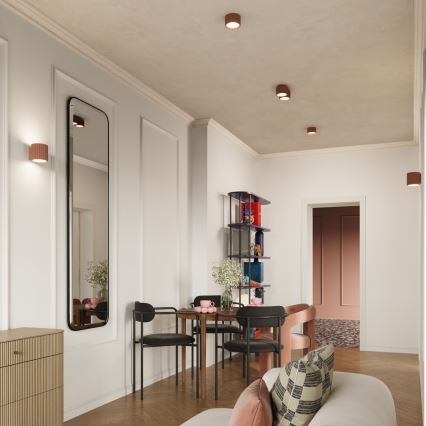 AURA-kohdevalaisin 2xGX53/10W/230V, ruskea