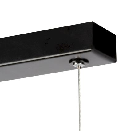 Himmennettävä LED-kattokruunu johdossa LUCAS LED/25,5W/230V mänty - FSC sertifioitu
