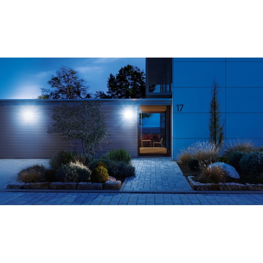 STEINEL 033064 - LED-valonheitin anturilla XLED home 2 LED/13,7W/230V IP44
