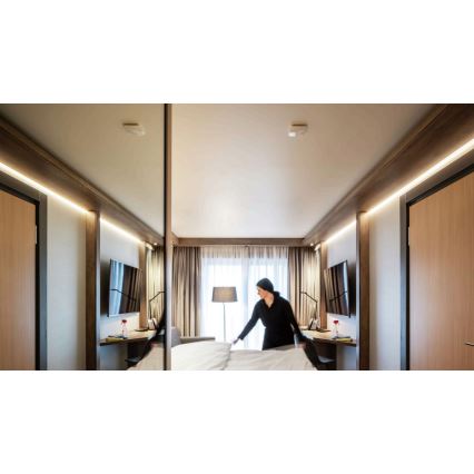 STEINEL 056339 - Liiketunnistin TRUE PRESENCE KNX