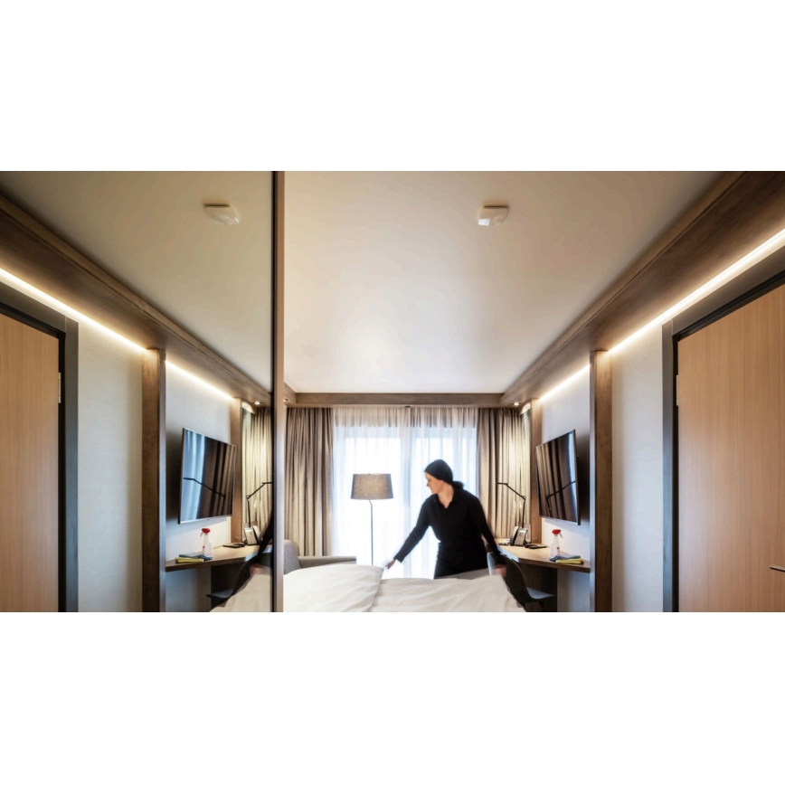STEINEL 056339 - Liiketunnistin TRUE PRESENCE KNX