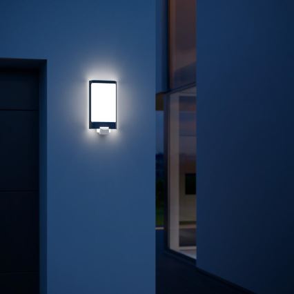 Steinel 056506 - LED-ulkovalaisin anturilla L 240 LED/7,5W/230V IP44
