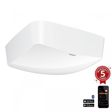 Steinel 057930 - Läsnäolotunnistin TRUE PRESENCE COM2 valkoinen IP54