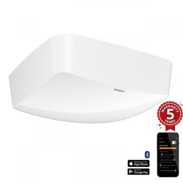 Steinel 064525 - Läsnäolotunnistin True Presence BT IPD (Slave) IP54 valkoinen