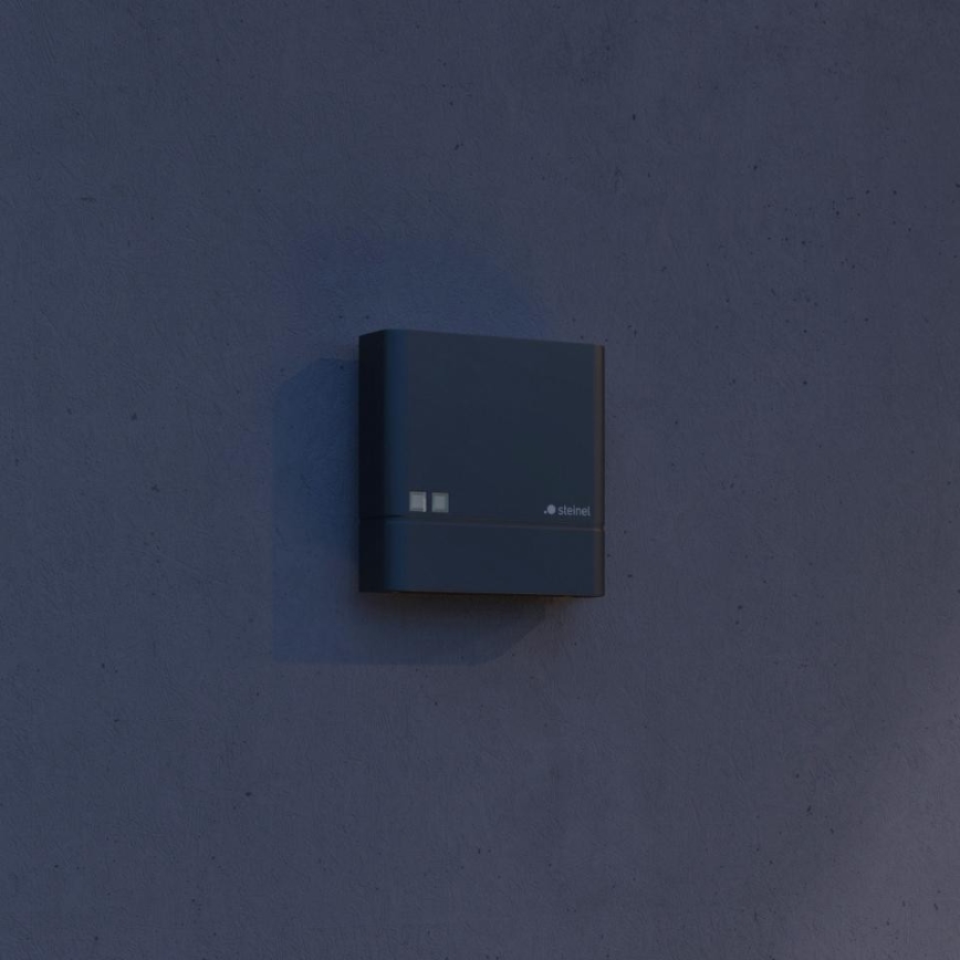 Steinel 066116 - Hämärän tunnistin NIGHTMATIQ Plus IP54 antrasiitti