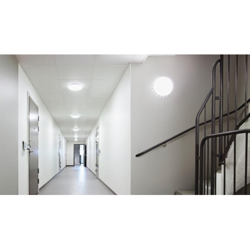 Steinel 067564 - Himmennettävä LED-kattovalaisin anturilla RS PRO S20 SC LED/15,7W/230V 3000K
